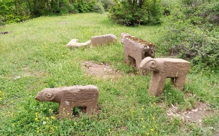 В Азербайджане впервые обнаружны каменные фигуры быка - ФОТО