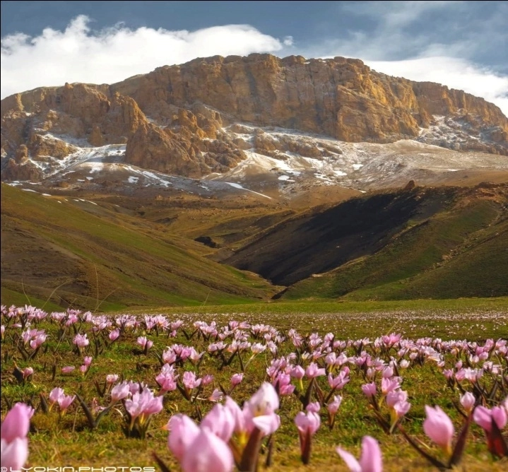Проведите выходные в национальных парках Азербайджана - ФОТО