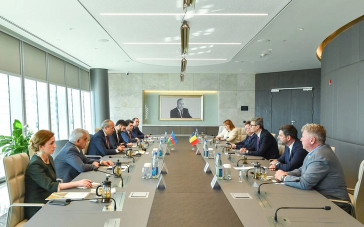 Микаил Джаббаров провел встречу с министром энергетики Румынии - ФОТО