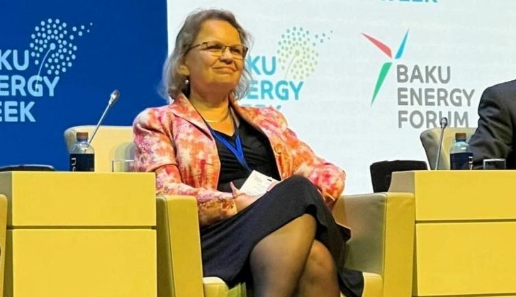 Паулина Эйзема: Нидерланды готовы поделиться опытом в области альтернативной энергетики с Азербайджаном