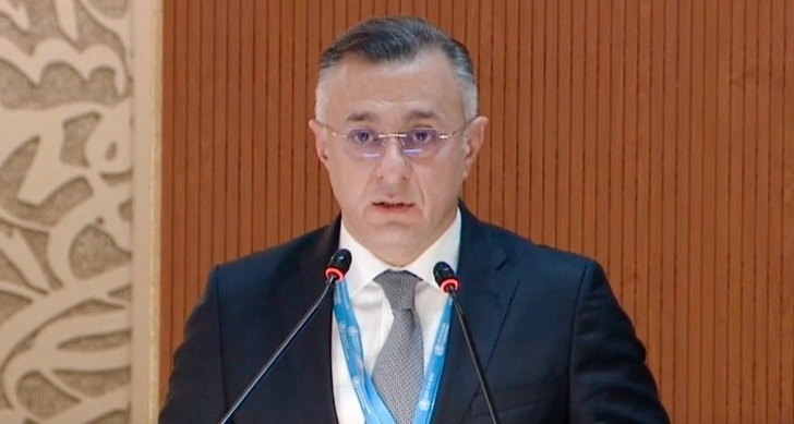 Министр здравоохранения Азербайджана призвал увеличить инвестиции в медицину