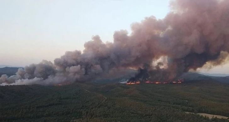В Турции задержали подозреваемого в совершении поджога леса в районе Мармариса