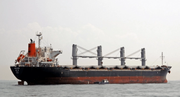 Украина попросила Турцию проверить еще три российских судна: на них может быть краденное зерно