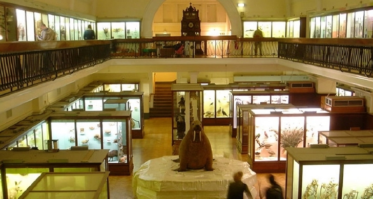 Лондонский музей вернет Нигерии похищенные британцами артефакты