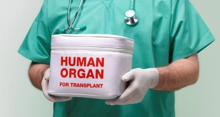 Создан Координационный центр по донорству органов и трансплантации
