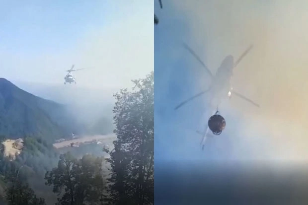 Пожар в Габалинском лесу Шахдагского национального парка потушен - ВИДЕО/ОБНОВЛЕНО