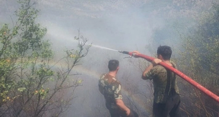 МЧС: Лесные пожары в Габале и Хачмазе потушены