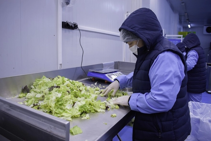 Media.az - Новости Азербайджана - Качественная продукция - залог успеха: Как азербайджанской компании удалось стать поставщиком McDonald`s