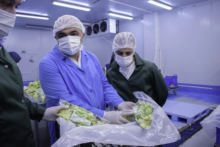 Media.az - Новости Азербайджана - Качественная продукция - залог успеха: Как азербайджанской компании удалось стать поставщиком McDonald`s