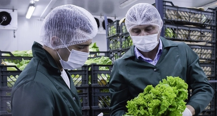 Качественная продукция - залог успеха: Как азербайджанской компании удалось стать поставщиком McDonald`s
