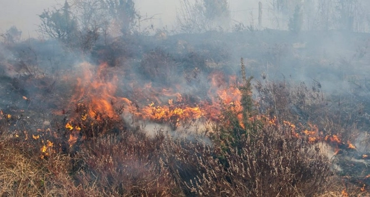МЧС: Пожар в Астаре потушен