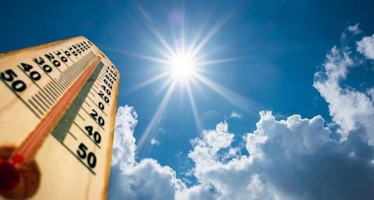 Лето 2022 года стало самым жарким в истории Европы