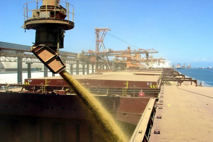Объем вывезенного из портов Украины зерна почти достиг 2,5 млн тонн