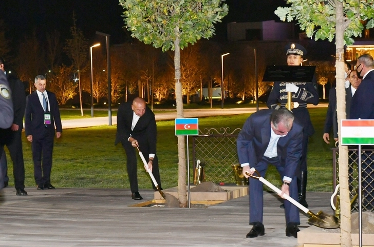 Главы государств-участников саммита ШОС посадили деревья во дворе Конгресс-центра в Самарканде - ФОТО