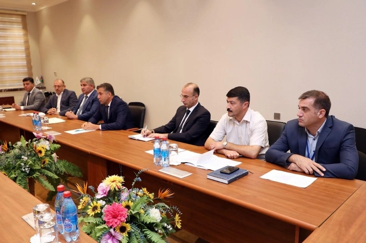 «Азеристиликтеджхизат» и «Азеригаз» достигли новых соглашений - ФОТО