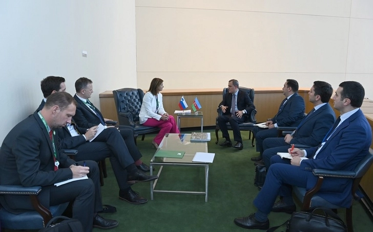 Глава МИД: Сотрудничество Словении и Азербайджана по разминированию должно быть расширено