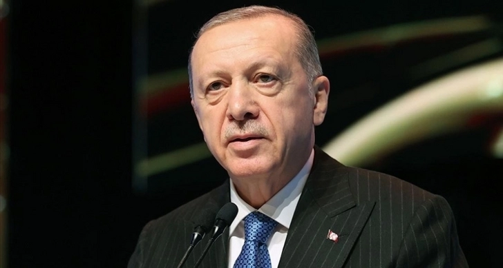 Эрдоган: Турция выступает за организацию встречи Путина и Зеленского