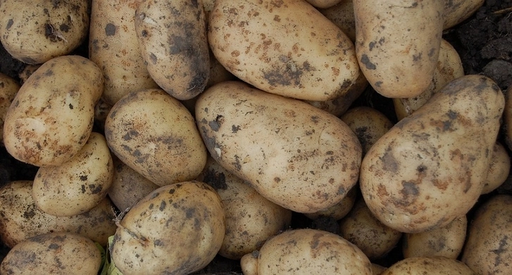В Азербайджан ввезли 45 тонн гнилого картофеля