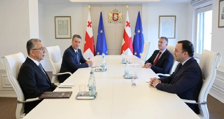 Состоялась встреча премьер-министра Грузии с Эльдаром Азизовым - ФОТО