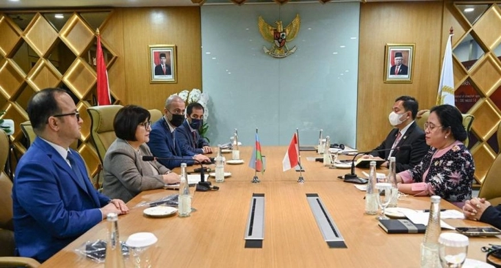 Сахиба Гафарова встретилась с председателем Совета народных представителей Индонезии