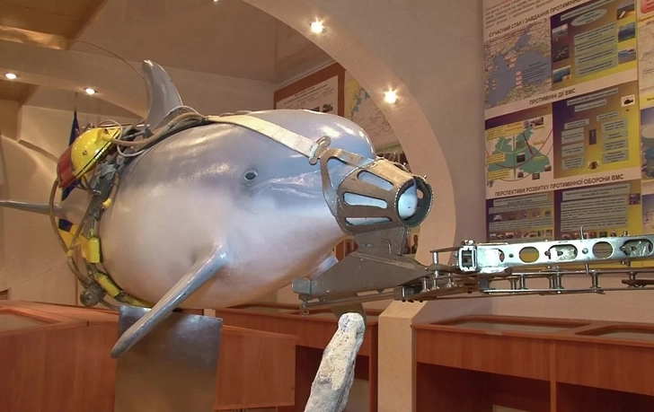Легенда о боевом дельфине, или Что делать, когда кремлевская мобилизация распространяется на рыб?