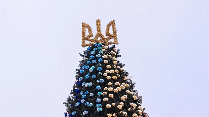 В Киеве на Софийской площади установили главную новогоднюю елку Украины - ФОТО