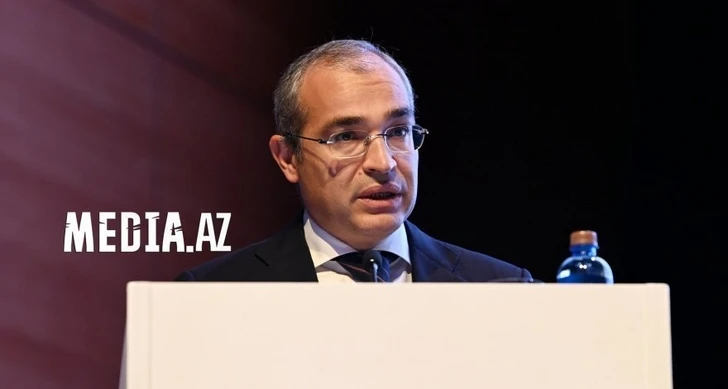 Министр о росте инвестиций в основной капитал в ненефтегазовом секторе экономики Азербайджана - ФОТО