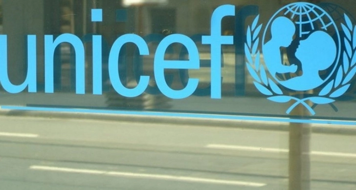 Глава азербайджанского офиса UNICEF был приглашен в отдел внешнеполитических связей АП
