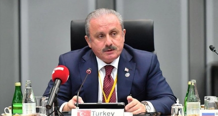 Спикер парламента Турции отменил визит в Анкару своего шведского коллеги