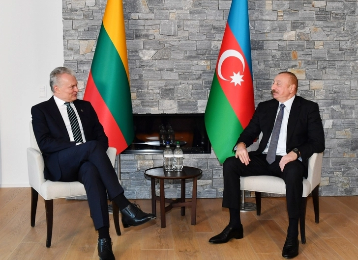 Президенты Азербайджана и Литвы встретились в Давосе - ФОТО/ОБНОВЛЕНО