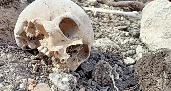 Проводится идентификация останков, обнаруженных в массовом захоронении в Дашалты