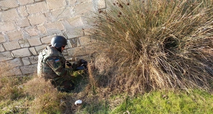 В бакинском поселке найдено восемь ручных гранат - ВИДЕО