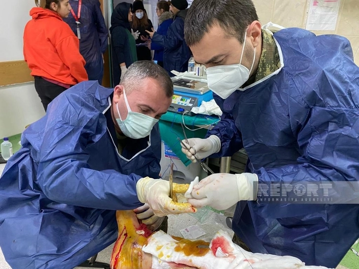 Азербайджанские врачи оказывают помощь пострадавшим при землетрясении в Кахраманмараше  - ФОТО