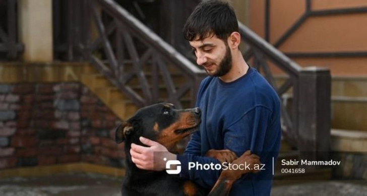 Житель Баку организовал приют для покалеченных и больных собак – ФОТО