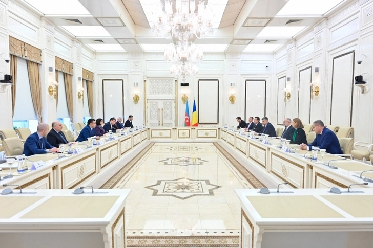 Спикер Милли Меджлиса встретилась с делегацией во главе с председателем Палаты депутатов Румынии - ФОТО