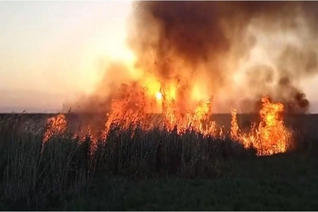 В Хачмазском районе возникли пожары на открытой местности