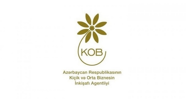 На Баку приходится 30 процентов женщин-предпринимателей - KOBİA