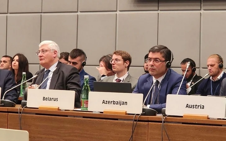 Азербайджан участвует в первой дополнительной встрече ОБСЕ по человеческому измерению - ФОТО