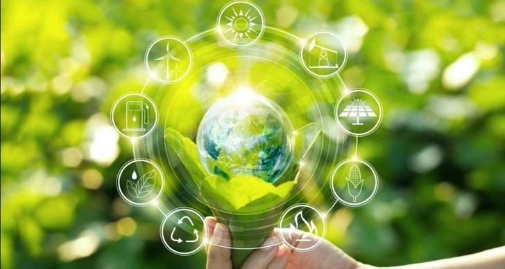 Теймур Гулиев: SOCAR в этом году определит цели, связанные с «зеленой энергией»