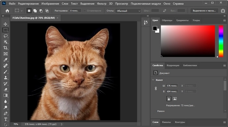 Разработчики Photoshop научили ИИ создавать любые картинки