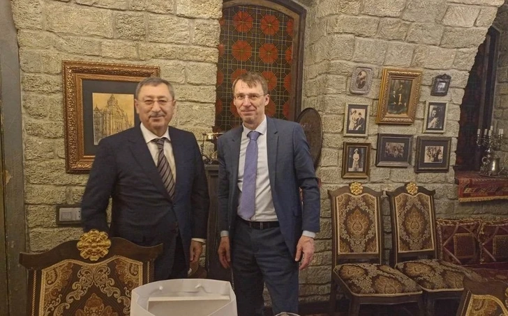 МИД Азербайджана и Чехии провели политические консультации - ФОТО