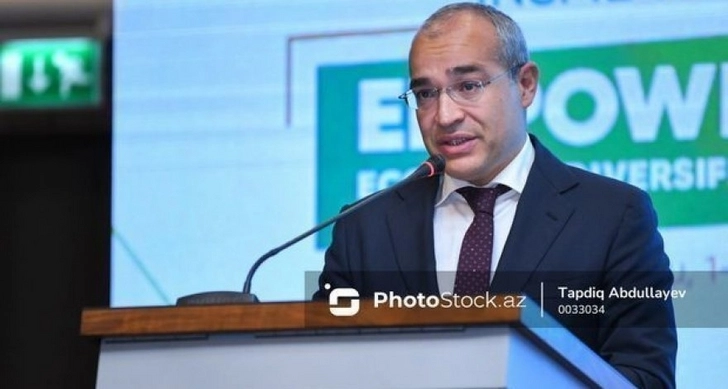 Микаил Джаббаров: Налоговые поступления в экономику Азербайджана в 2022 году выросли на 82 процента