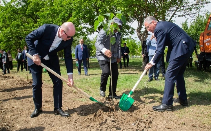 Министр совместно с региональным президентом bp посадил дерево в Самухе - ФОТО