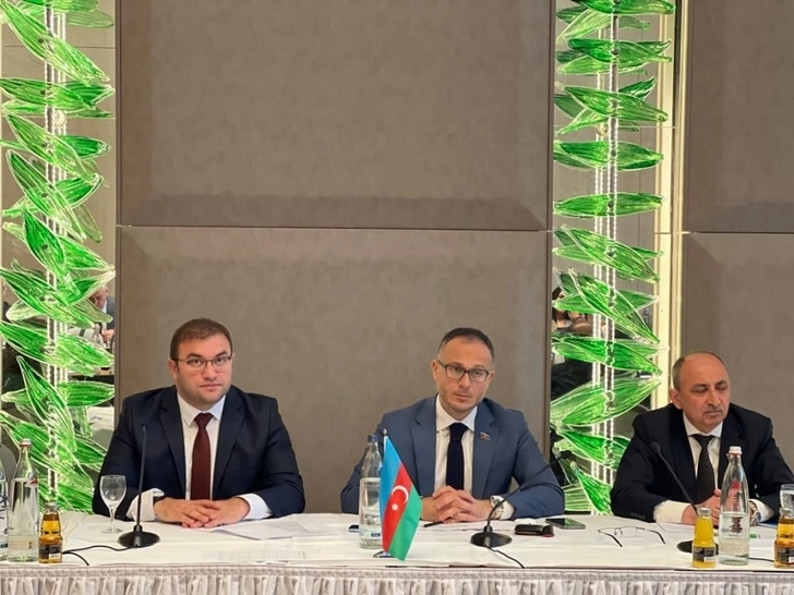 Media.az - Новости Азербайджана - В Берлине прошла конференция на тему возвращения в Западный Азербайджан - ФОТО