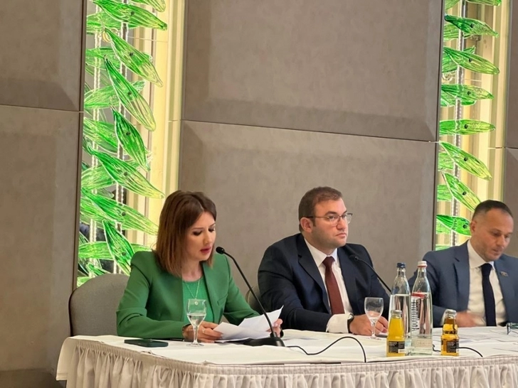 Media.az - Новости Азербайджана - В Берлине прошла конференция на тему возвращения в Западный Азербайджан - ФОТО
