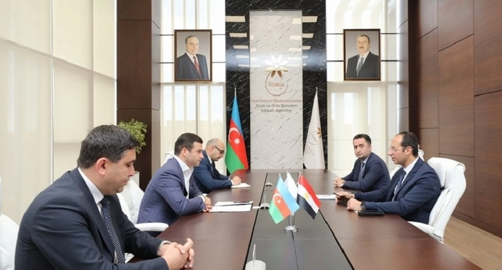 МСП Азербайджана могут наладить сотрудничество с египетской компанией Elsewedy Electric - ФОТО