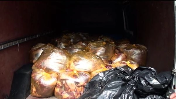 В Исмайыллы в грузовике обнаружены почти две тонны конины - ФОТО
