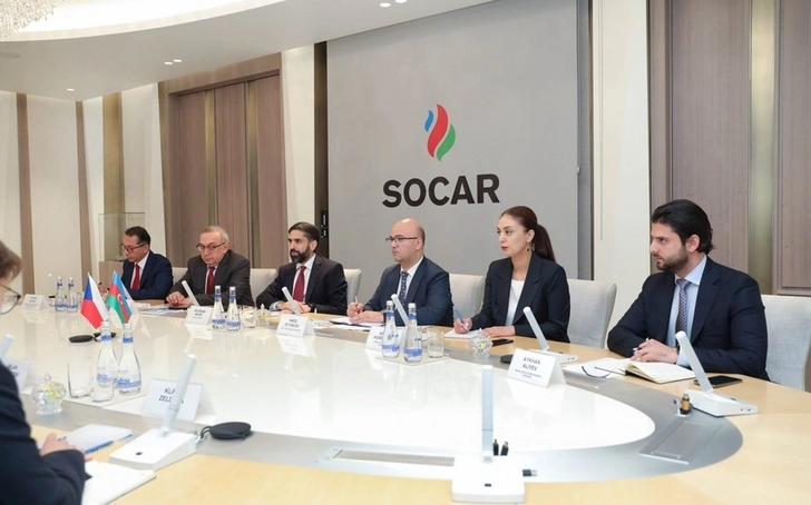 SOCAR и CEZ рассмотрели потенциальные возможности сотрудничества - ФОТО