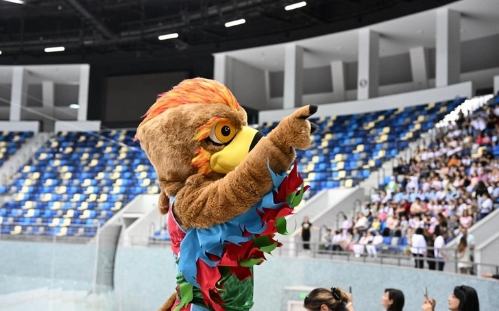 Карабахский орел AZZİ. Министерство молодежи и спорта представило официального маскота - ФОТО