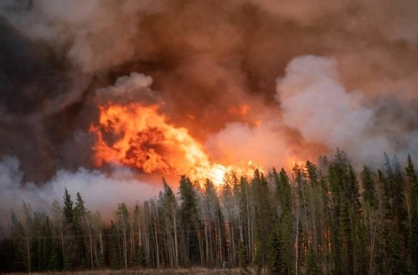 Масштабные лесные пожары в Канаде: дым приближается к Норвегии
